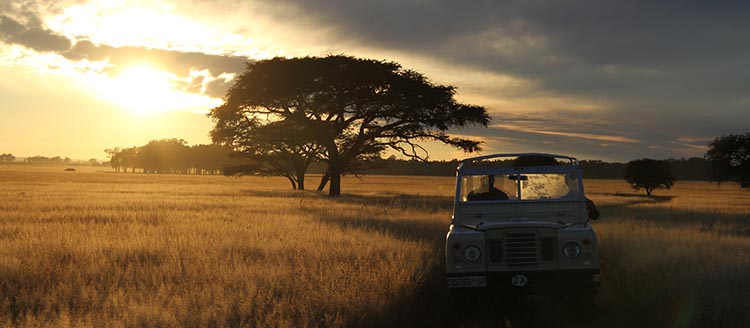 Show & Tell: The Serengeti Rules