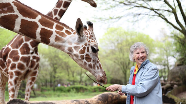 Show + Tell: The Woman Who Loves Giraffes